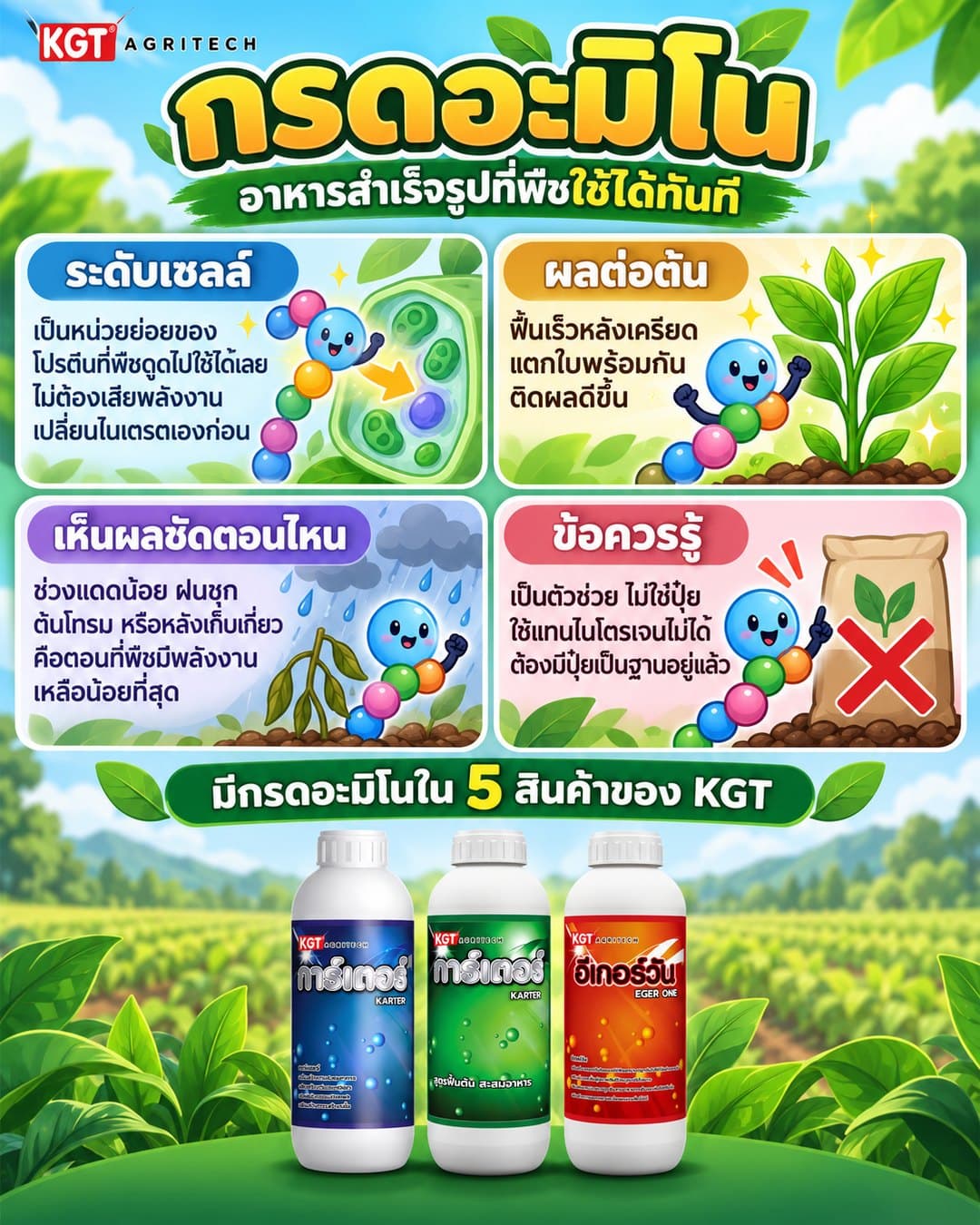 อินโฟกราฟิกธาตุกรดอะมิโน โดย KGT Agritech