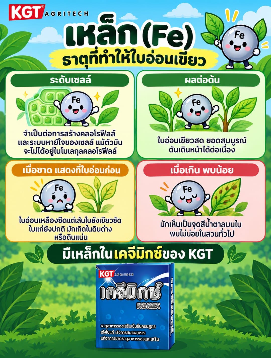 อินโฟกราฟิกธาตุเหล็ก โดย KGT Agritech