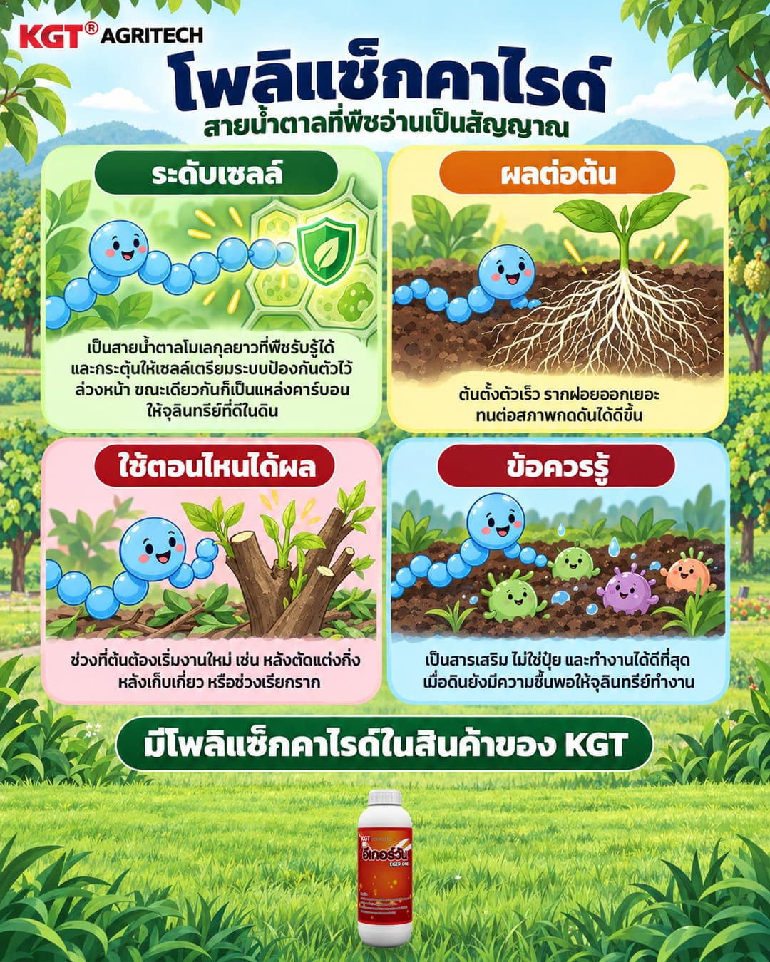 อินโฟกราฟิกธาตุโพลิแซ็กคาไรด์ โดย KGT Agritech