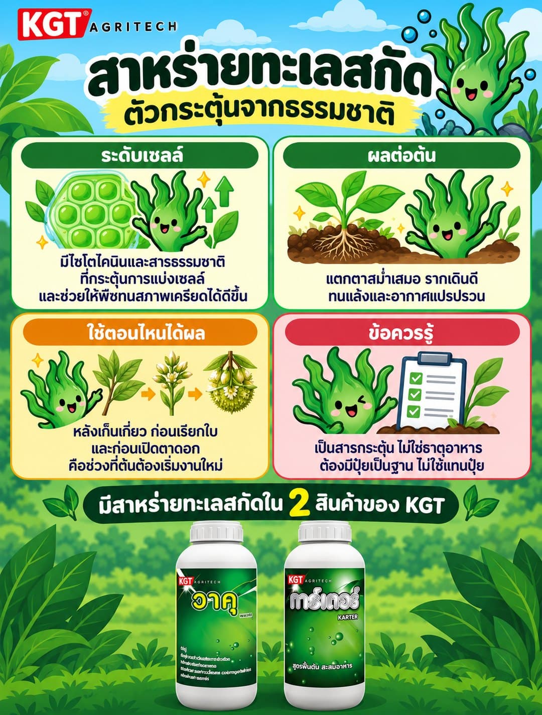 อินโฟกราฟิกธาตุสาหร่ายทะเลสกัด โดย KGT Agritech