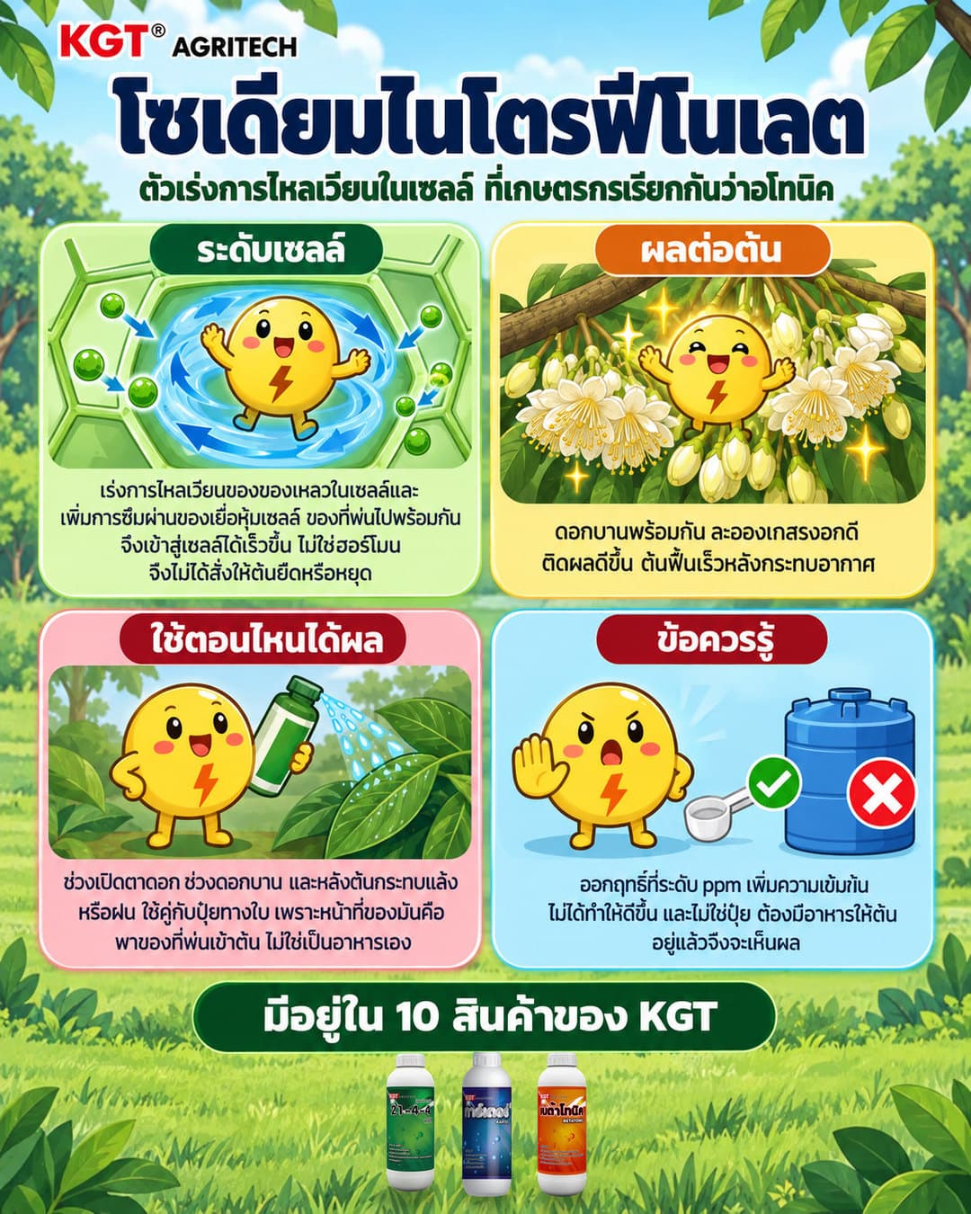 อินโฟกราฟิกธาตุโซเดียมไนโตรฟีโนเลต โดย KGT Agritech