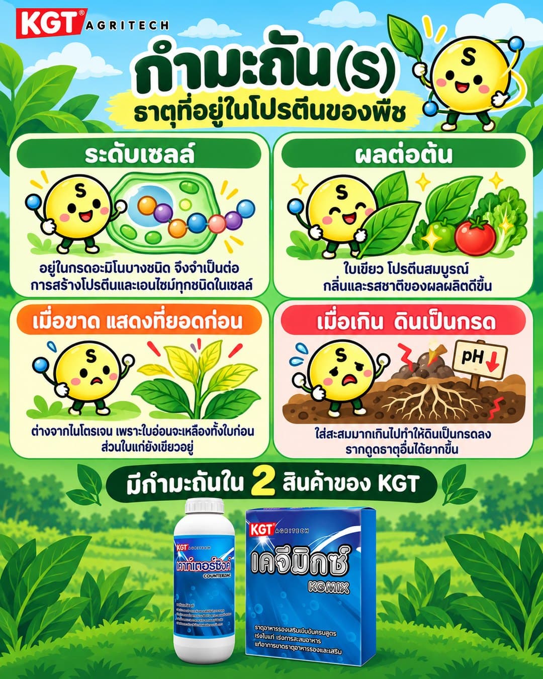 อินโฟกราฟิกธาตุกำมะถัน โดย KGT Agritech