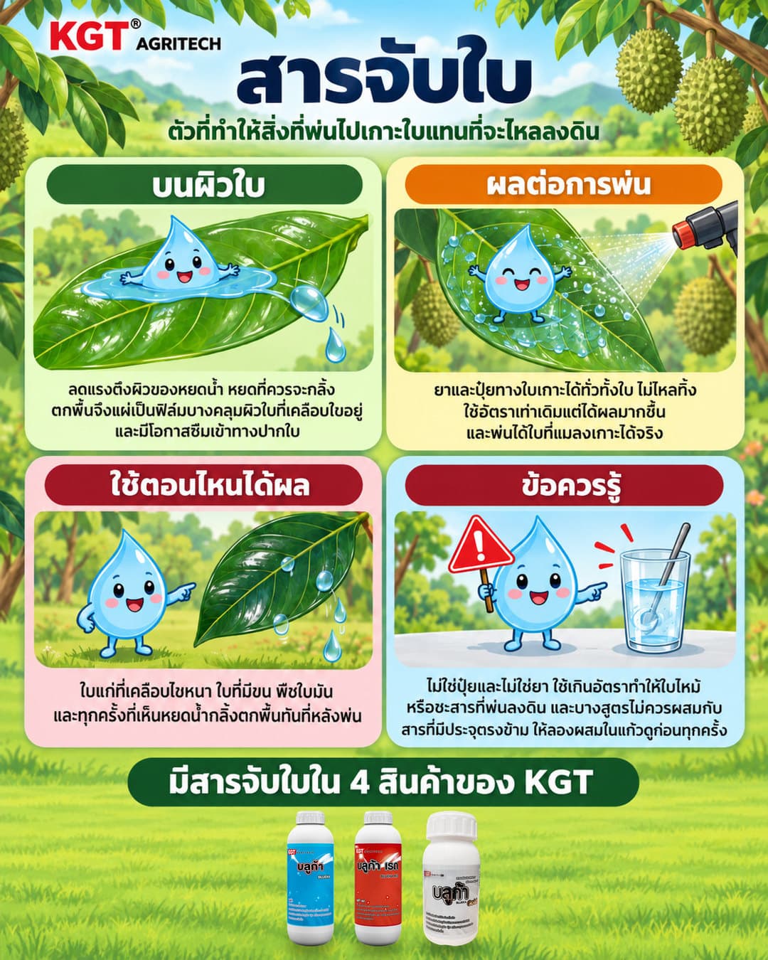 อินโฟกราฟิกธาตุสารจับใบ โดย KGT Agritech