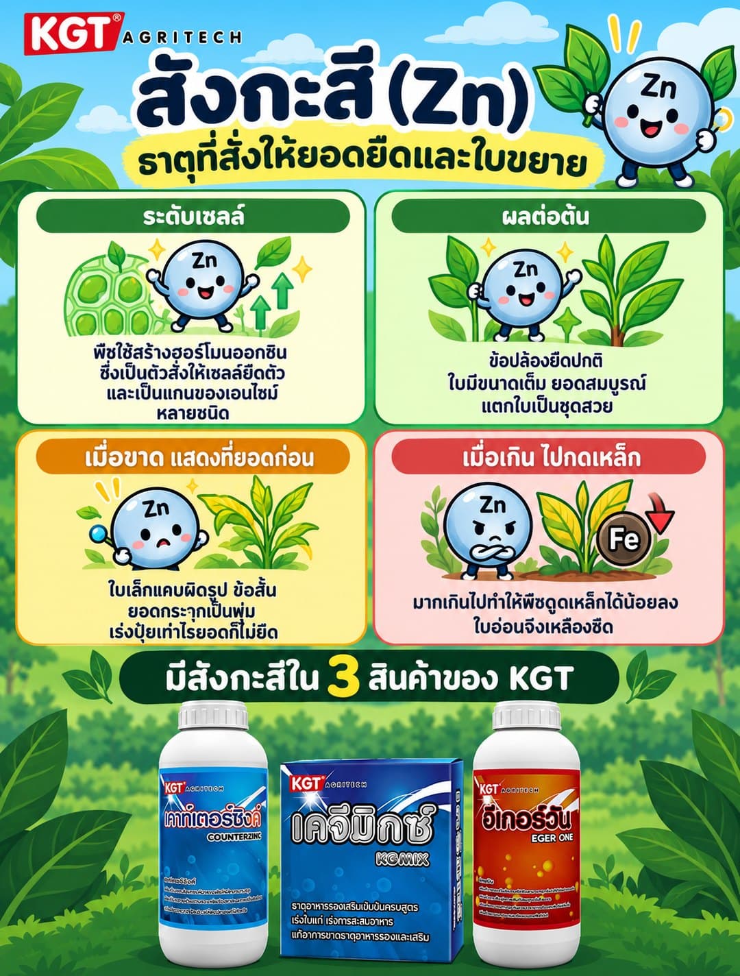 อินโฟกราฟิกธาตุสังกะสี โดย KGT Agritech