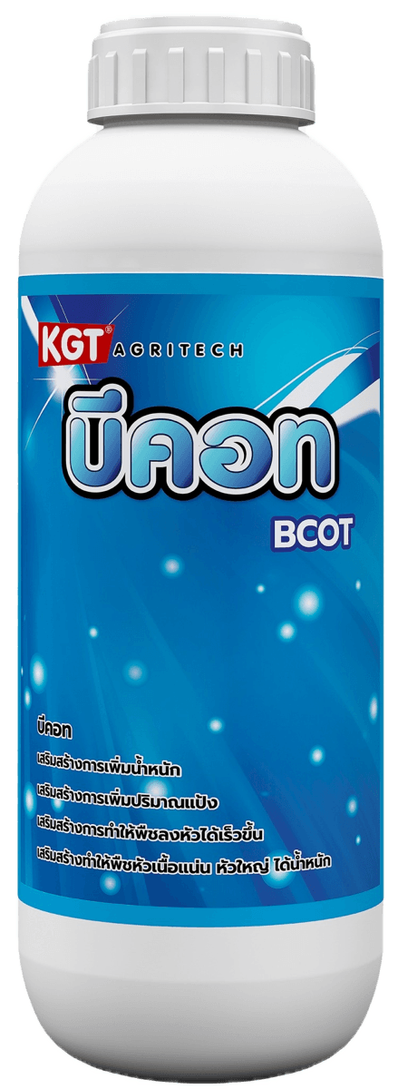 บีคอท