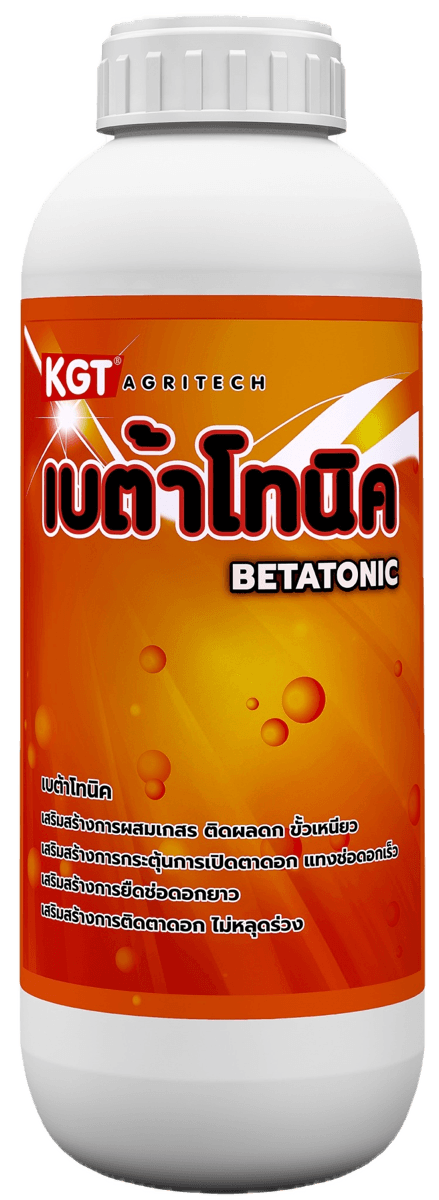 เบต้าโทนิค
