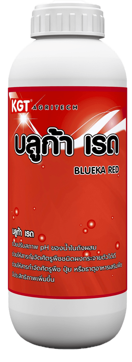 บลูก้า เรด