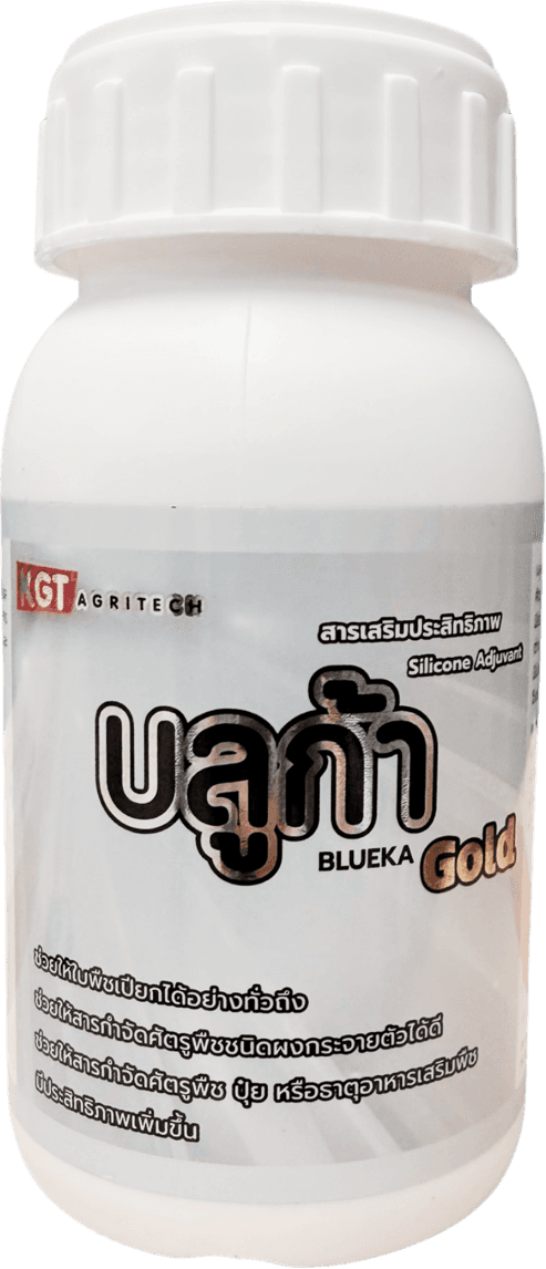 บลูก้า Gold