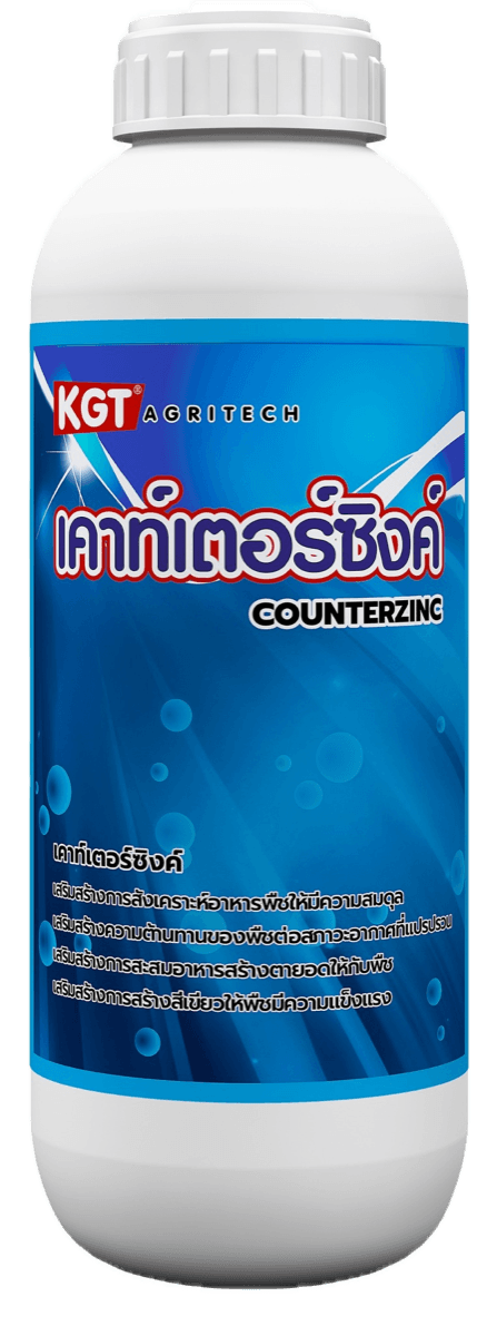 เคาท์เตอร์ซิงค์