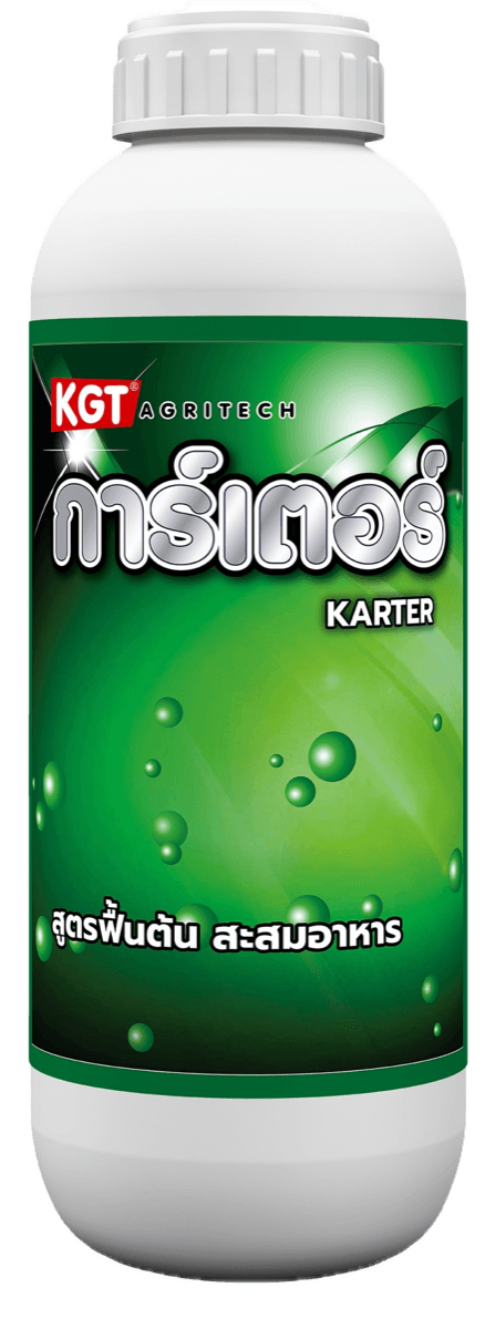 การ์เตอร์เขียว