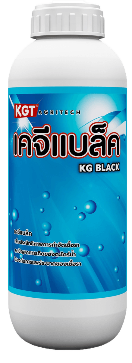 เคจีแบล็ค