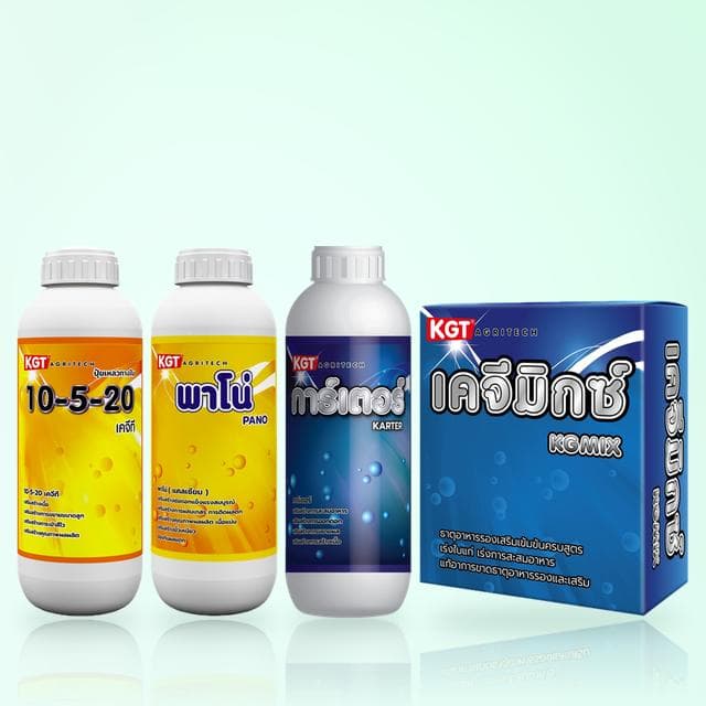 ชุดสร้างเนื้อเบ่งพู — 10-5-20 + พาโน่ + การ์เตอร์ + เคจีมิกซ์