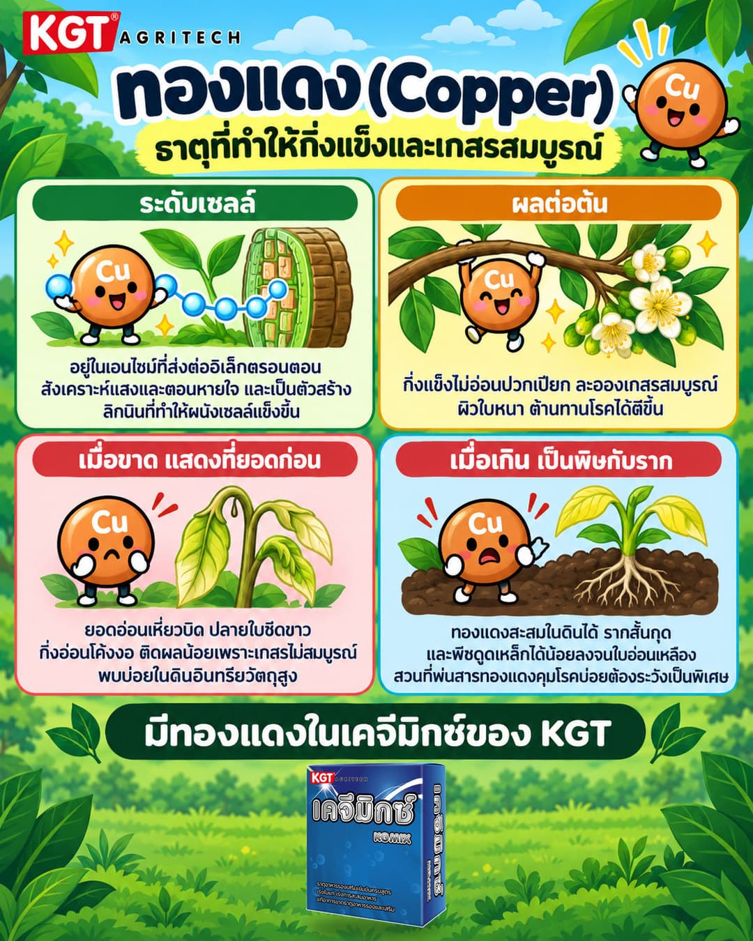 อินโฟกราฟิกธาตุทองแดง โดย KGT Agritech